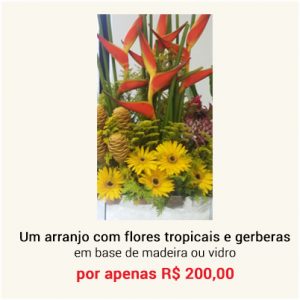 flores_tropicais